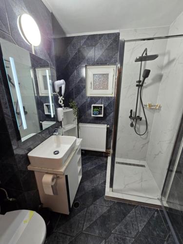 a bathroom with a shower and a toilet and a sink at BlueBee Apartment in Orăştie