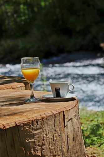 a glass of orange juice and a cup of coffee on a table at Domacinstvo na kraju svijeta in Šipovo