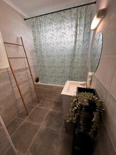 une salle de bain avec une douche, un lavabo et un miroir dans l'établissement T3 proche centre ville climatisé, à Istres