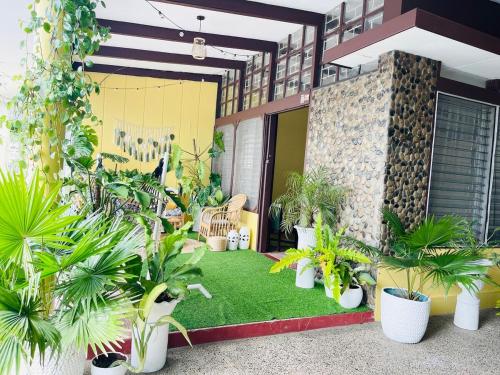 Κήπος έξω από το Durrani CozyHouse 5mins walk from the beach