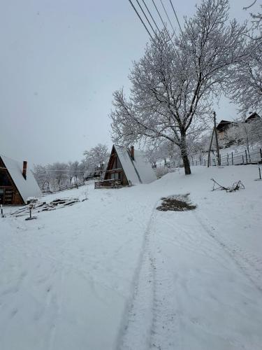 a snow covered field with houses and a tree at Rubicon Cabins in Secăria