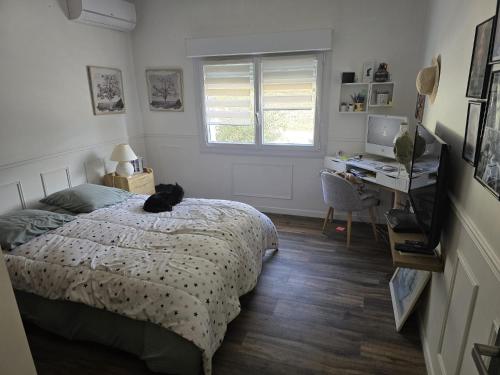 une chambre avec un chat noir allongé sur un lit dans l'établissement Phil, à Villeneuve-lès-Avignon