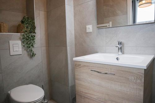 a bathroom with a sink and a toilet at Esprit COTON Free parking in Huningue