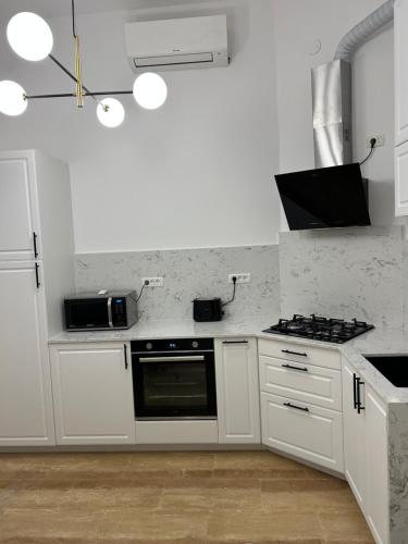 Η κουζίνα ή μικρή κουζίνα στο Central studio flat Cluj Napoca