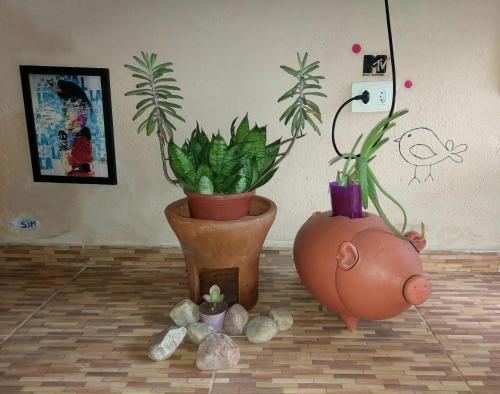 Φωτογραφία από το άλμπουμ του @hostel_vibe_descolada στη Recife