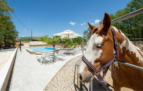 Άλλα ζώα σε αυτή η παραθεριστική κατοικία ή στη γύρω περιοχή