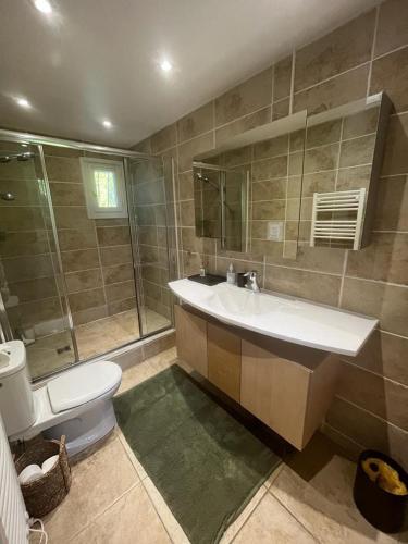 une salle de bain avec un lavabo et des toilettes dans l'établissement Villa Les Roches, à La Croix-Valmer