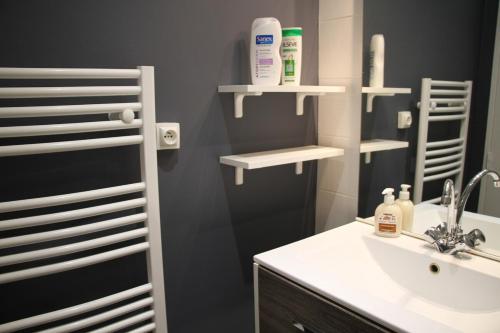 une salle de bain avec un lavabo et un miroir dans l'établissement Fromentin - Parking - calme - proche port, à Vannes