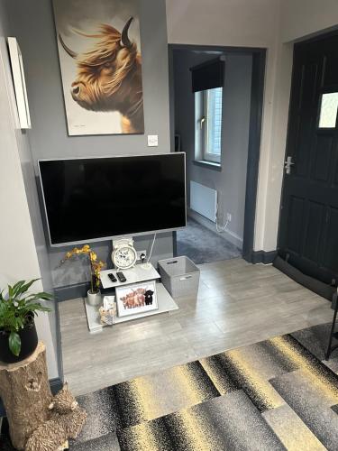 TV a/nebo společenská místnost v ubytování Burnside