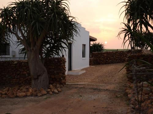 a house with a palm tree next to a stone wall at Aloe Cottage in Cloeteskraal