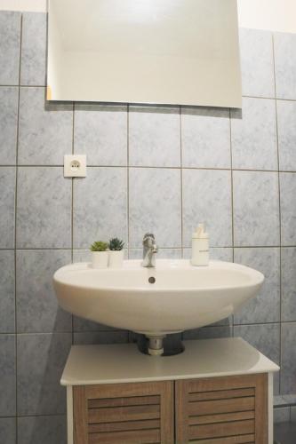 une salle de bain avec un lavabo et un miroir dans l'établissement Le Coquet, bord de l'eau, à Mulhouse