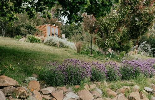 Jardín al aire libre en Outdoor Spa & Sauna with amazing views at Jaclyn Studio