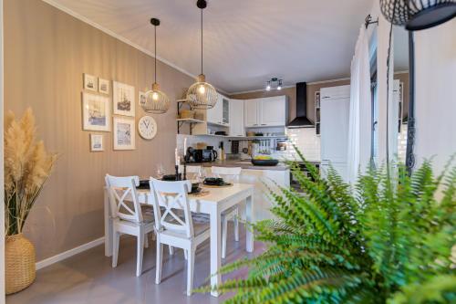 Apartment Franko