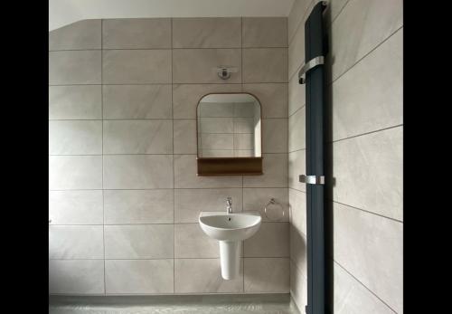 a bathroom with a sink and a mirror at HORSESHOE LUXURY ACCESSIBLE LODGE Sleeps 4 at Fairview Farm in Ravenshead Nottingham near Sherwood Forest ,Dog Friendly Farm Stay in Blidworth