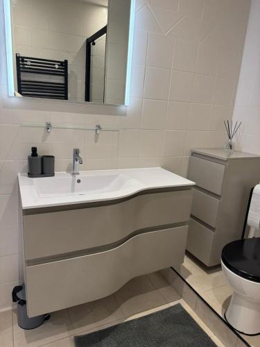 une salle de bain avec un lavabo et des toilettes dans l'établissement Escapade savoyarde, à Chambéry