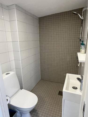 a bathroom with a toilet and a sink at Lady A Apartment Jacuzzi Garden Outdoor Kitchen in Podglavica