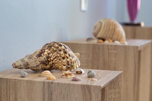 a model of a bird on a piece of wood with shells at Venizelos Studios in Plataniás