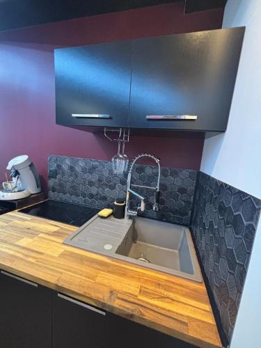 une cuisine avec un évier et un plan de travail dans l'établissement Love Room Redroom, à Voiron