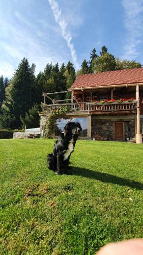 Un jardín fuera de Chalets Toplak