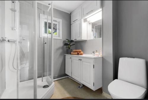 Ένα μπάνιο στο Cozy Apartment in Lillehammer
