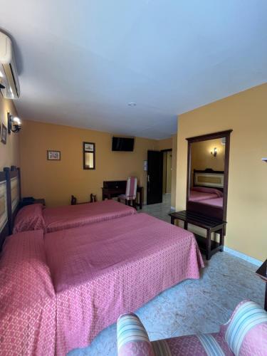 a large bedroom with two beds and a mirror at Hotel La Barca in Lepe