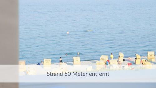 a group of birds standing in the water at Strandvilla Haffkrug Apartment Strandläufer in Scharbeutz