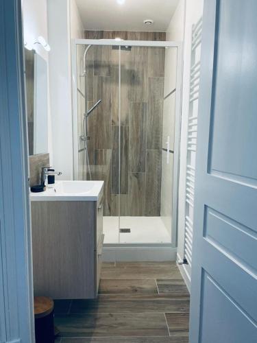 une salle de bain avec douche et lavabo dans l'établissement Appartement Brulart, à Reims