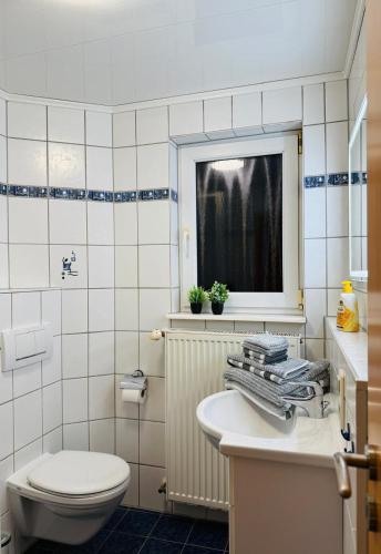 a bathroom with a toilet and a sink and a window at Ferienwohnung mit Terrasse in Insheim