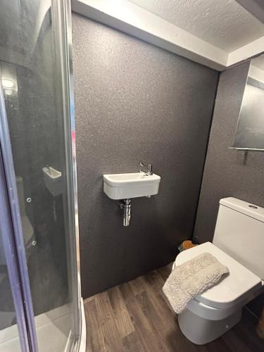 a bathroom with a sink and a toilet at Bon yr Llew, Coity Bach in Brecon