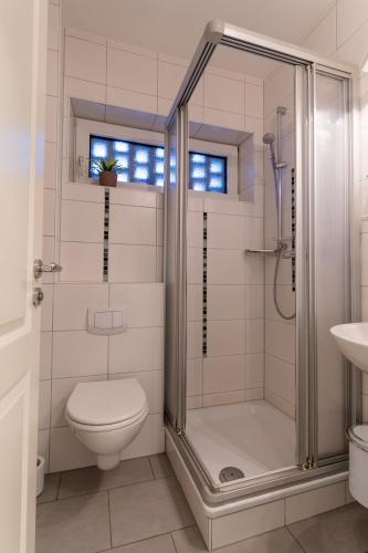 a bathroom with a shower and a toilet and a sink at Ferienwohnung Strandkiste in Norddeich