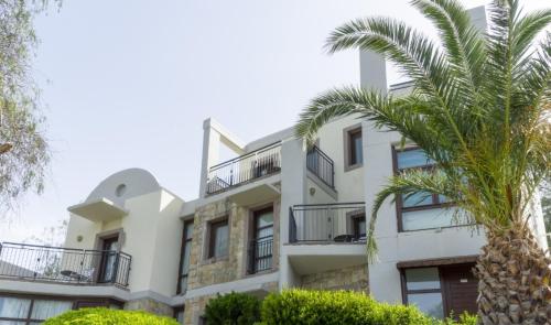 a white building with a palm tree in front of it at Duja Bodrum in Torba