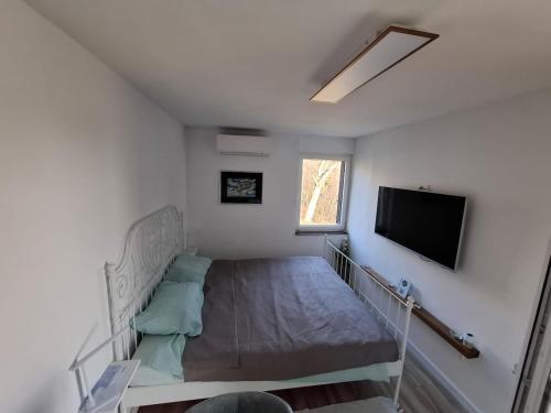 Μια τηλεόραση ή/και κέντρο ψυχαγωγίας στο Hillview apartman Slavagora, Croatia