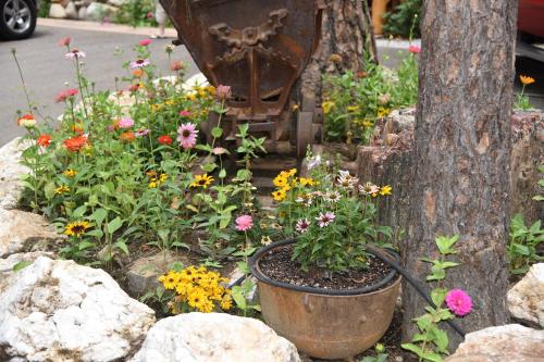 a garden with flowers in front of a tree at El Capitan in Wawona
