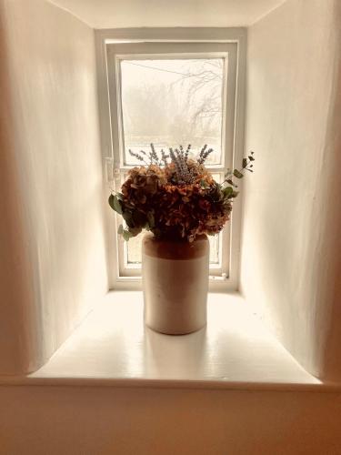 a potted plant sitting on a window sill at The Stable Rooms in Kirk Ireton