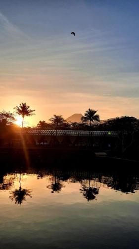 Φυσικό τοπίο κοντά σε αυτό το διαμέρισμα