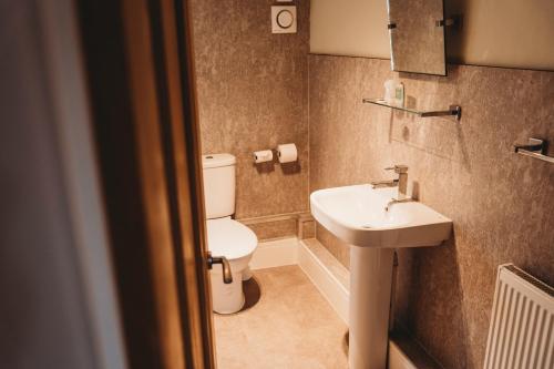 a bathroom with a toilet and a sink at The White Lion Inn in Whissendine