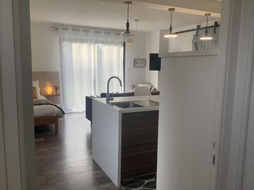 une cuisine avec un évier et un plan de travail dans l'établissement Casa Cosy, à Lesneven
