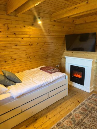 ein Schlafzimmer mit einem Bett, einem Kamin und einem Fernseher in der Unterkunft Mountain Mia in Šišava