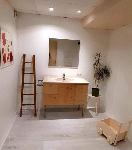 La salle de bains est pourvue d'un lavabo, d'une échelle et d'un miroir. dans l'établissement Les Papillons, à Gresswiller