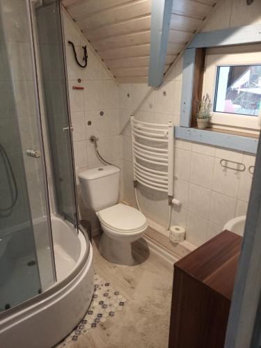 a small bathroom with a toilet and a shower at Dom na Łabędziej in Charzykowy