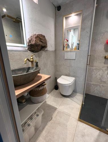 une salle de bain avec un lavabo et des toilettes dans l'établissement Typical Corsican Village House with Garden, à Calenzana