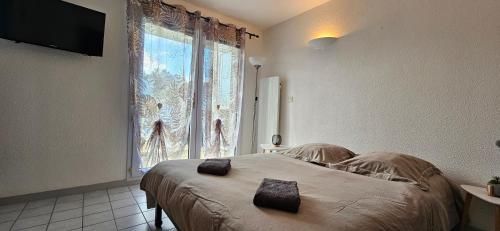 a bedroom with a bed and a large window at L'Orchidée, 400m du lac & de la plage de Tanchet, 5 pers in Les Sables-dʼOlonne