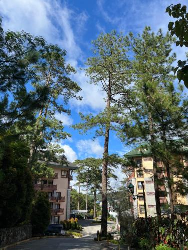 a tall tree in front of a building at 163 Sqm Luxury Spacious Modern European Cott-age Style 3 Bedrooms With 2 Parkings in Baguio
