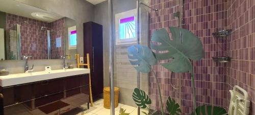 une salle de bain avec un lavabo et une douche avec un miroir dans l'établissement Gîte Bevennes maison individuelle au calme, à Ruoms