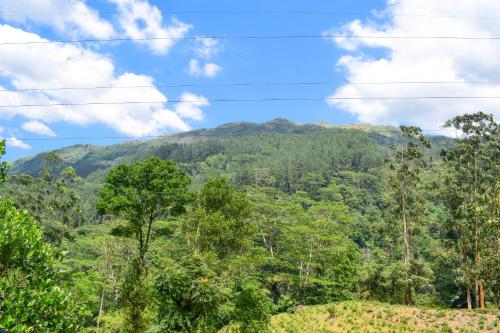 a mountain in the middle of a forest at Flaming Tree Resorts in Kiriwan Eliya
