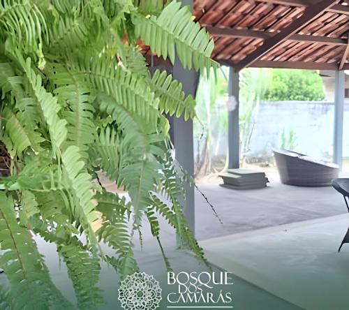 Taman di luar Flat Térreo em Meio a Natureza