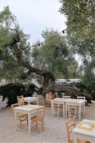 a group of tables and chairs under a tree at Masseria Stefanodelconte in Torre Canne