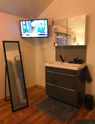 La salle de bains est pourvue d'un lavabo, d'un miroir et d'une télévision. dans l'établissement 50 Nuances de Gris - Chambre privée dans une maison disposant de 4 autres chambres, à Saint-Dizier