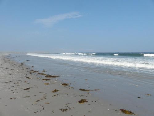 a sandy beach with waves in the ocean at Route3BnB in Shag Harbour