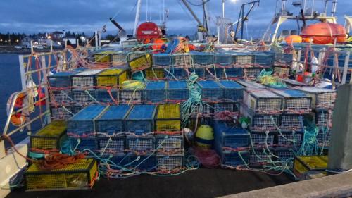 a boat filled with lots of cages at Route3BnB in Shag Harbour